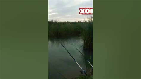 лакка - YouTube