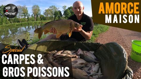 AMORCE Maison CARPES GROS POISSONS YouTube