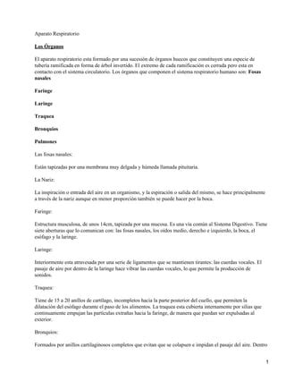 Sistema Respiratorio Humano PDF