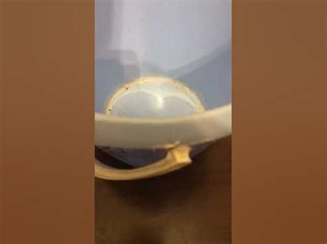 Пародия на Леомакс - YouTube