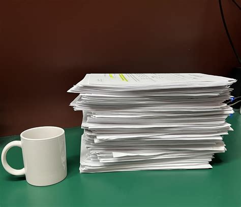 aurora animal control 3