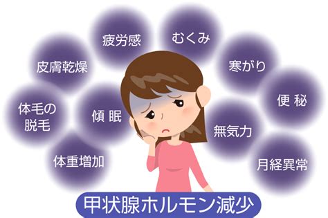 甲状腺の病気とは？｜とじたま甲状腺・糖尿病クリニック