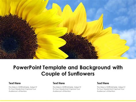 Powerpoint Template And Background With Couple Of Sunflowers