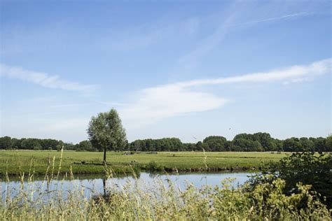 Rondje Polderpark Cronesteyn Rust In De Stad Wandeldingen Nl