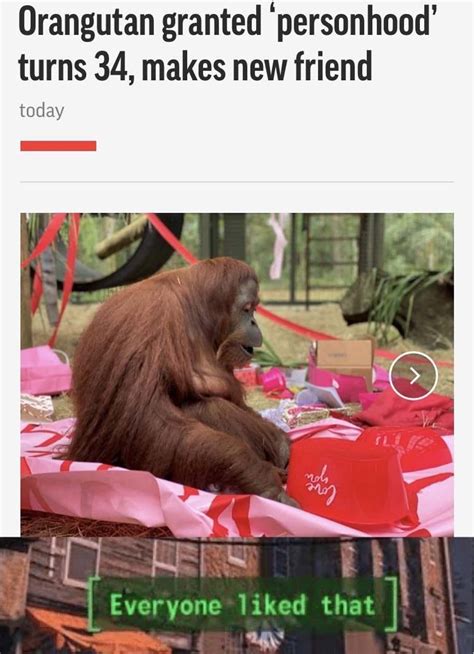 The 18 Funniest Orangutan Memes That Deserve An Ape-Plus