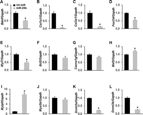 Frontiers Exosomal Mir B Of Gut Origin In Patients With Ulcerative