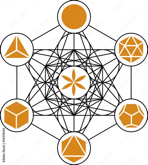 Platonische K Rper Metatrons W Rfel Blume Des Lebens Stock Vector