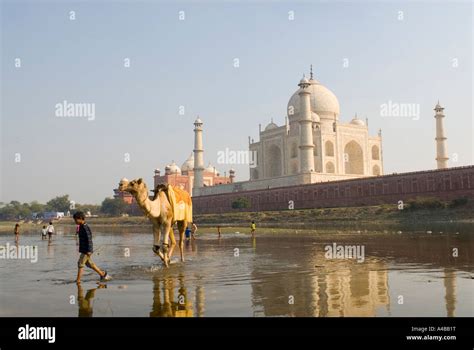 Stock Image Of Taj Mahal From Across The Yamuna River With Windrows For