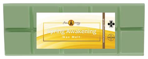 Spring Awaken Designer Fragrance Wax Melt Big Snap Bar 50g Aroma Energy