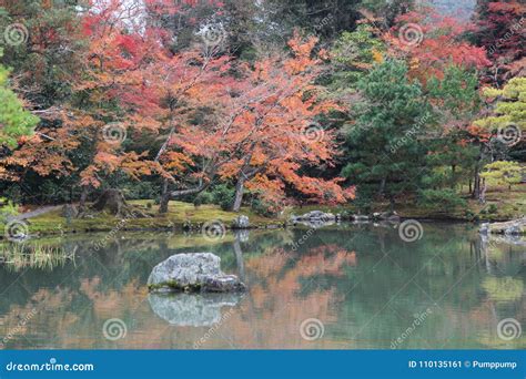 The Garden Autumn in Kyoto at Japan Stock Image - Image of nature, life ...