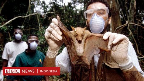 Virus Corona Ini Bukan Pandemi Terakhir Ilmuwan Peringatkan