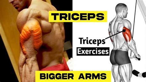 Exercises To Get Bigger Arms Forearm Bicep Tricep Youtube