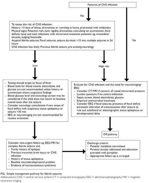 Simple Febrile Seizure Criteria Sale Online