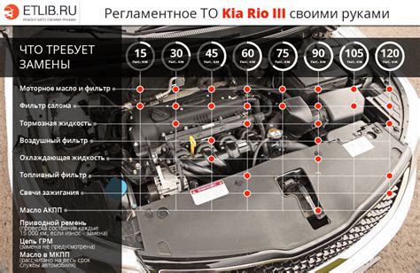 Техническое обслуживание (ТО) Kia Rio 3. Полный регламент ТО 1, ТО 2, ТО 3