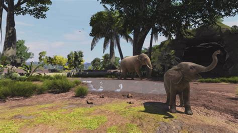 Buy Zoo Tycoon: Ultimate Animal Collection Steam Key | Instant Delivery | Steam CD Key