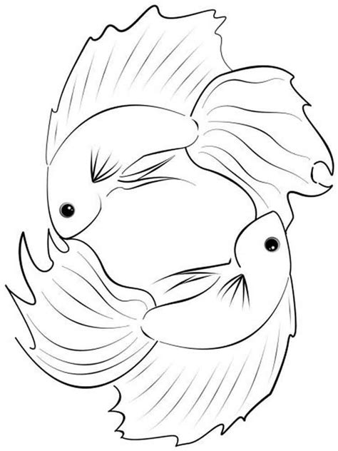 Betta Fish Coloring Pages Best Coloring Pages For Kids Animal