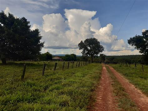 Fazenda A Venda Em Mato Grosso Fazendas Mato Grosso