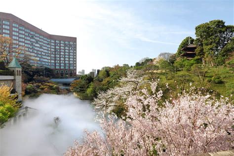 ホテル椿山荘東京の桜スイーツ、紅茶と共に霧で包まれる幻想的な庭園を眺めながら ファッションプレス