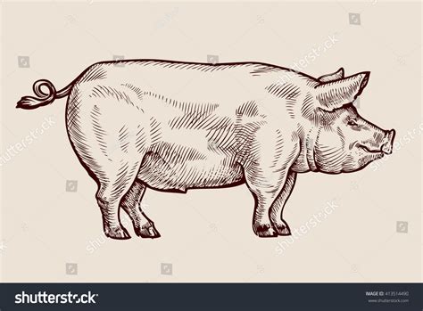 1,959 Pig Realistic Drawing Images, Stock Photos & Vectors | Shutterstock