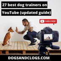 27 Best Dog Trainers On YouTube (Updated 2023 Guide) - DogsAndClogs