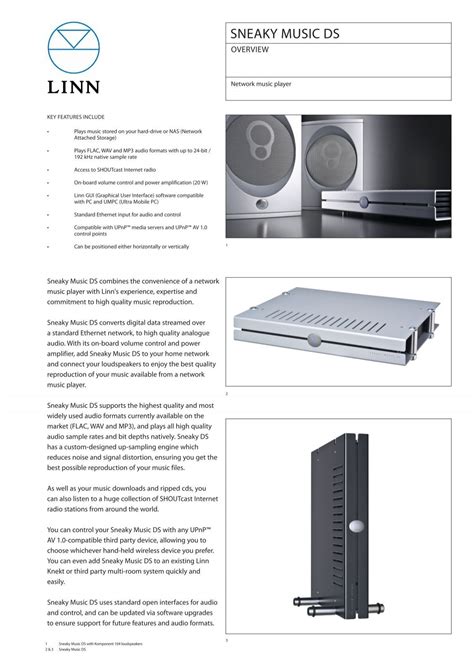 SNEAKy MUSIC dS - Linn Polska