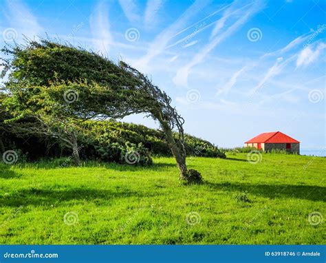 Windy Day Stock Image 80937571