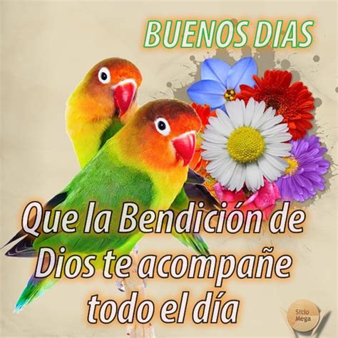 Imágenes para compartir buenos días que la bendición de dios te