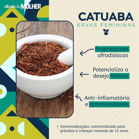 Ervas Para Aumentar O Desejo Feminino - Conheça 7 poderosas ervas para aumentar o desejo feminino