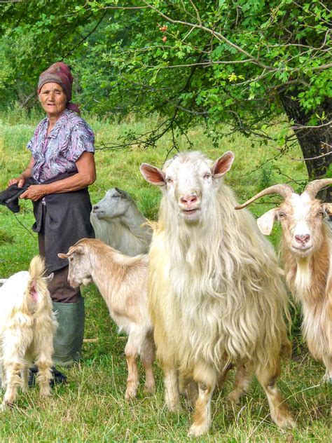 Natur Kultur in Siebenbürgen eine Weltweitwandern Reise