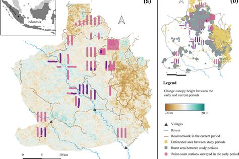 Studi Di Hutan Restorasi Populasi Burung Meningkat Tapi Tidak Optimal