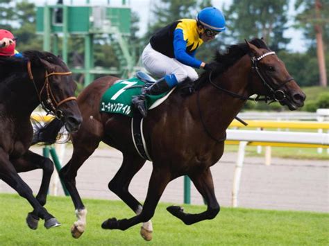 【新潟記念】得意の新潟芝2000m 古豪ユーキャンスマイルの復活だ 競馬ニュース Netkeiba