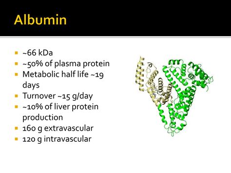 Ppt Albumin Replacement In Patients With Severe Sepsis Or Septic