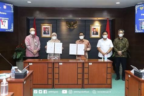 Revitalisasi Nasib Tenaga Honorer Terjawab Sudah Semua Honorer