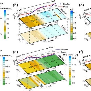 The Spatial Distributions Of A Efflux And B Influx Of Dic Left