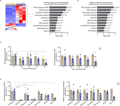 Ex Vivo Expansion Of Phenotypic And Transcriptomic Chronic Myeloid