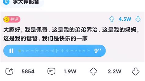 大孝子哔哩哔哩bilibili