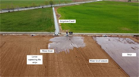 Border strip irrigation performed onto the experimental field ...