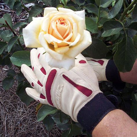 Short Rose Gloves | The Rose Gardener