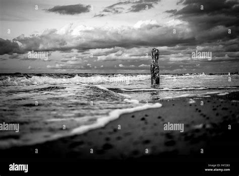 Groynes On Shore Of The Baltic Sea Stock Photo Alamy