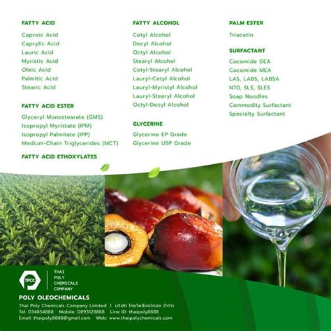 Cocamidopropyl Betaine, โคคามิโดโพรพิล เบตาอีน, Coco Betaine, โคโคเบตา ...