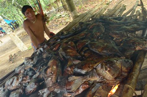 Funai coordena e apoia ações de proteção na Terra Indígena Yanomami em