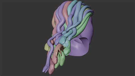 Medusa Snakes Hair 3d Model By Ludmi