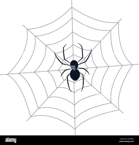 spider on web icon over white background, flat style, vector ...