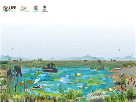 Save Wetland Campaign