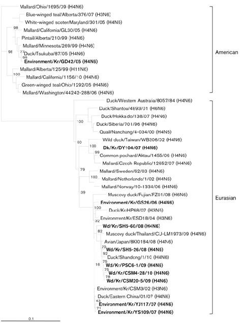 Phylogenetic Tree Of The H N Gene The Nucleotide Sequences Were