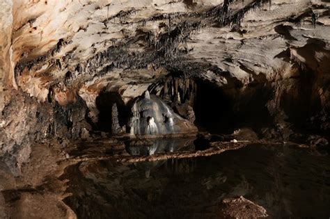 Descubren En La Cueva Dones El Mayor Conjunto De Arte Paleol Tico Del