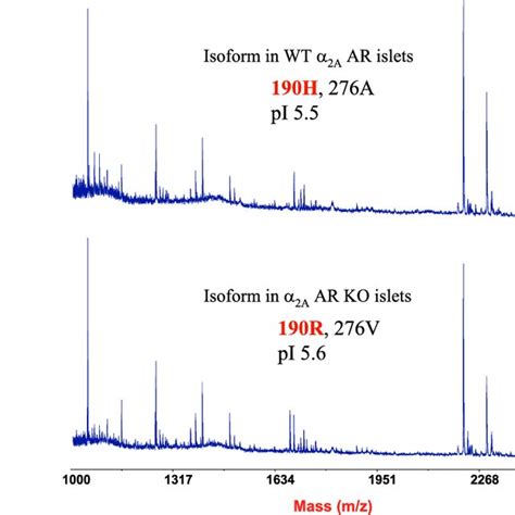 Maldi Tof Mass Spectrum Of Tryptic Peptides Detected After In Gel