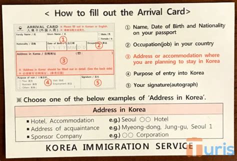 Traveling to Korea: How to Fill out Korea Arrival Card – Turis