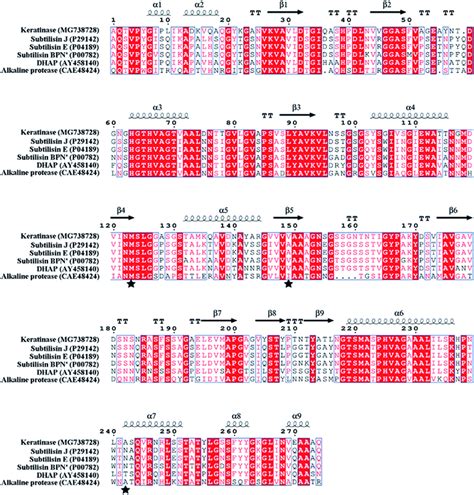 Enhanced Extracellular Recombinant Keratinase Activity In Bacillus