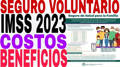 Beneficios Del Seguro Voluntario Todo Lo Que Necesitas Saber